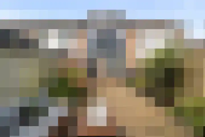 Het Eiland 2 Warnsveld thumbnail 31