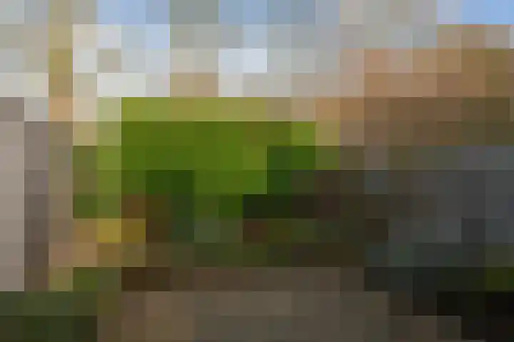 Het Eiland 2 Warnsveld thumbnail 32