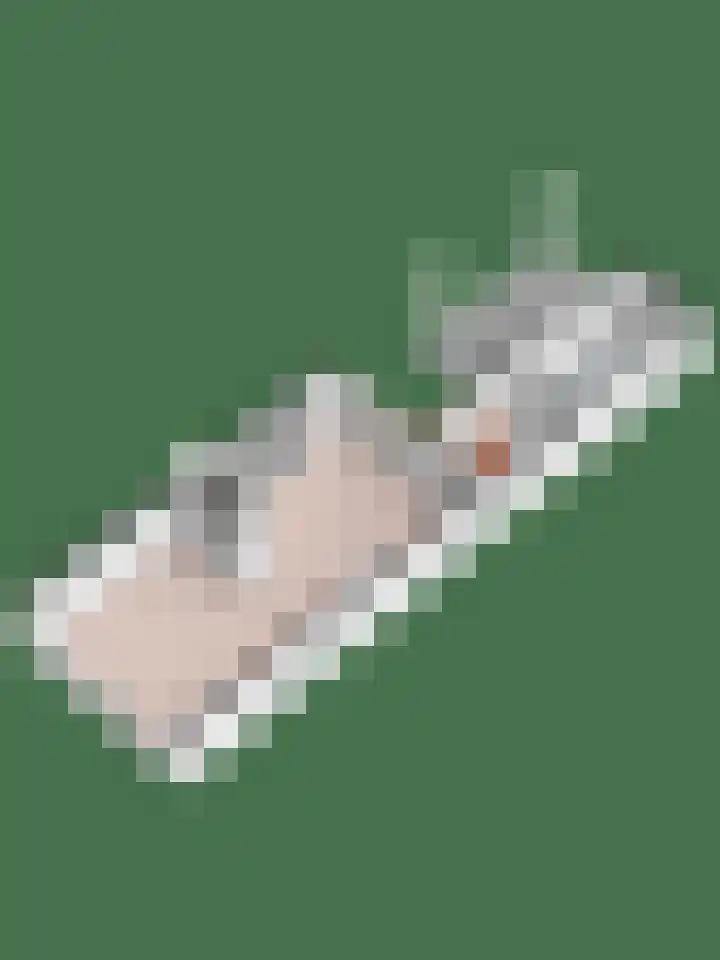 Het Eiland 2 Warnsveld thumbnail 39