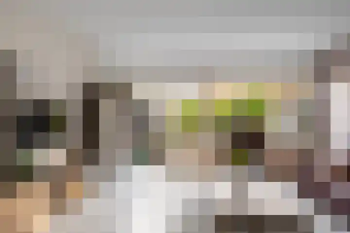 Het Eiland 2 Warnsveld thumbnail 4