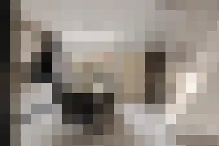 Het Eiland 2 Warnsveld thumbnail 9