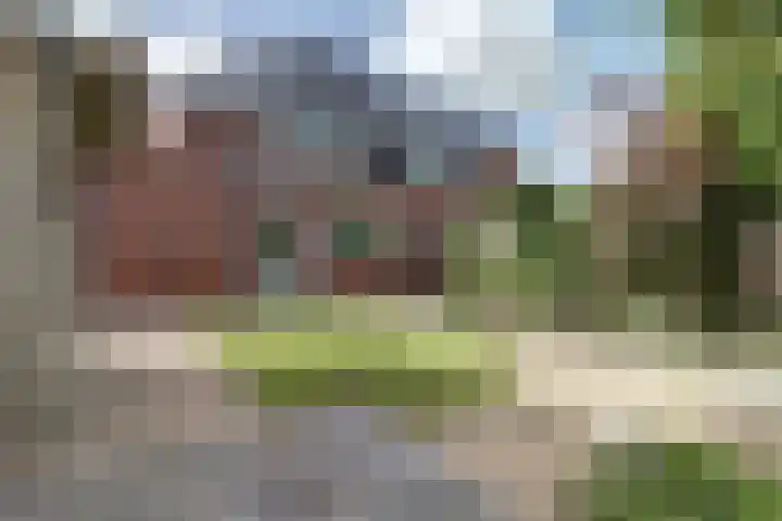 Het Eiland 29 Wervershoof thumbnail 29