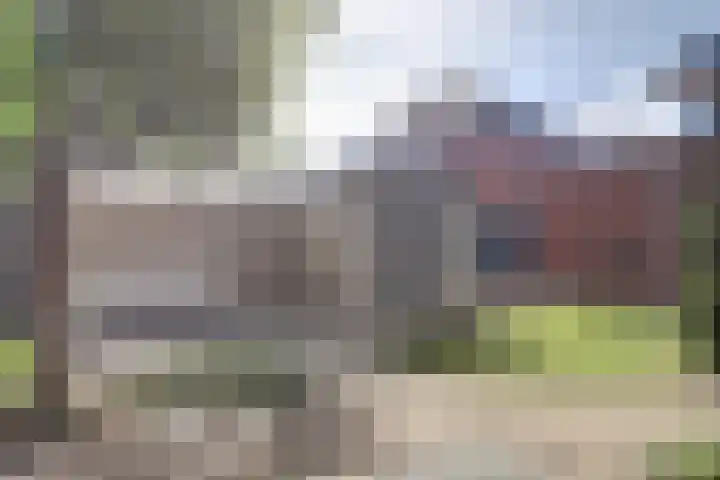 Het Eiland 29 Wervershoof thumbnail 32