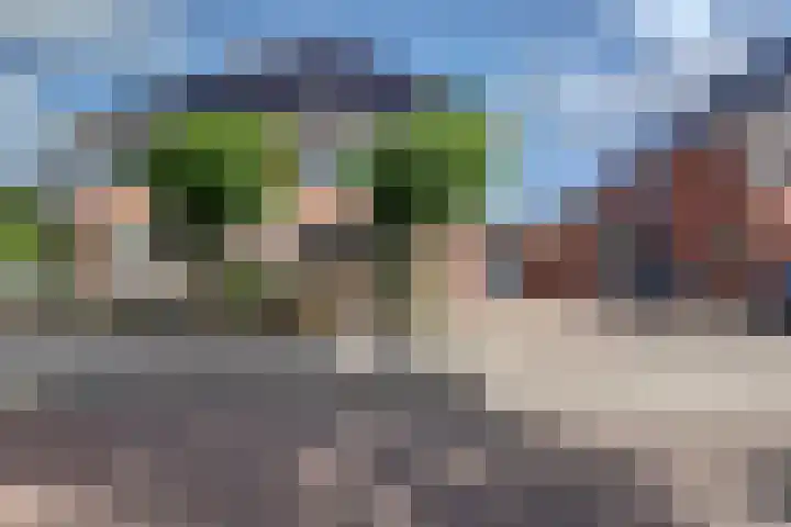 Het Eiland 29 Wervershoof thumbnail 35