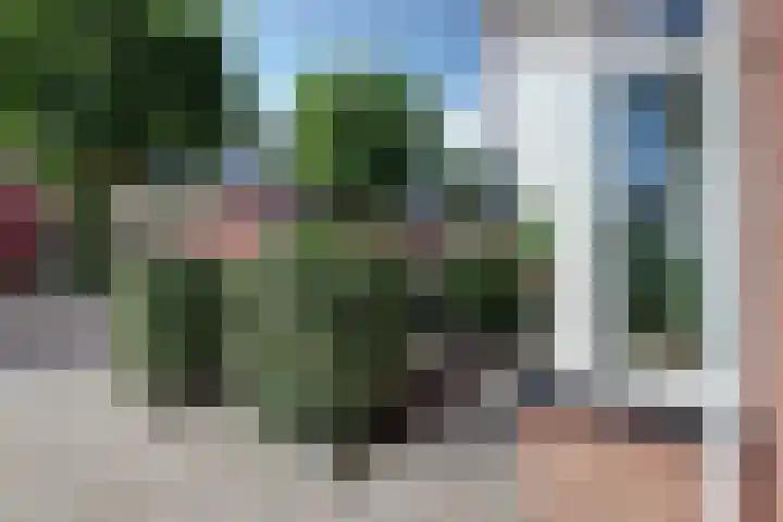 Het Eiland 29 Wervershoof thumbnail 36