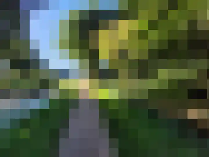 Het Eiland 29 Wervershoof thumbnail 38