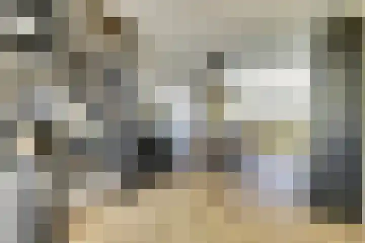 Het Eiland 29 Wervershoof thumbnail 4