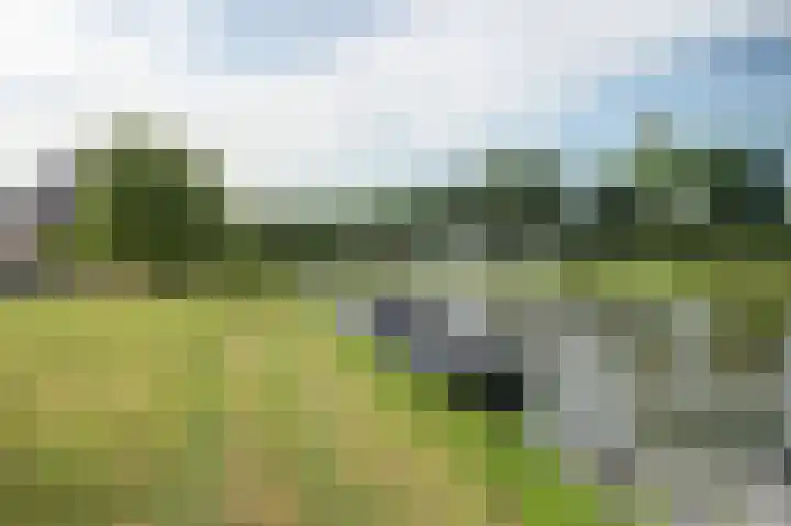 Het Eiland 29 Wervershoof thumbnail 40
