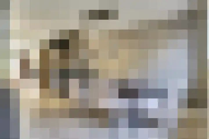 Het Eiland 29 Wervershoof thumbnail 5