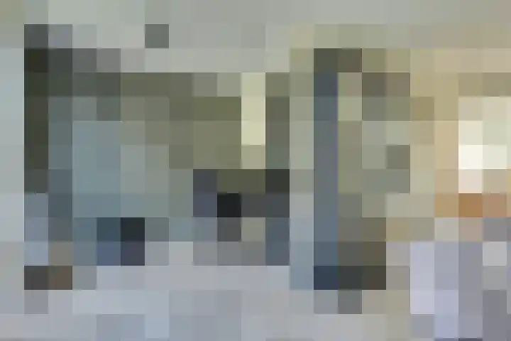 Het Eiland 29 Wervershoof thumbnail 6