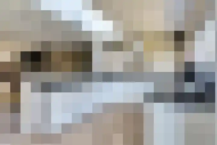 Het Eiland 29 Wervershoof thumbnail 8