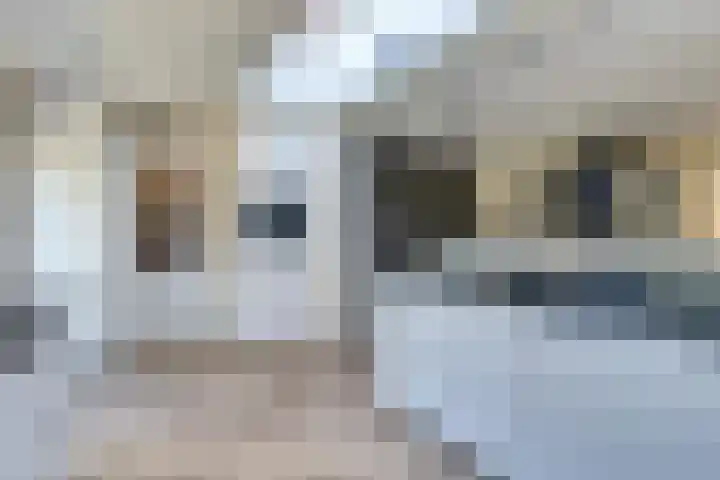 Het Eiland 29 Wervershoof thumbnail 9