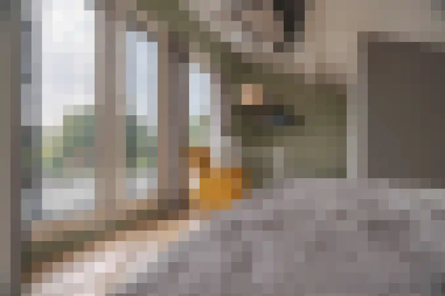 Het Eiland 30 Warnsveld thumbnail 49