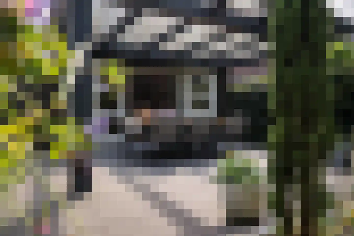 Het Eiland 30 Warnsveld thumbnail 5
