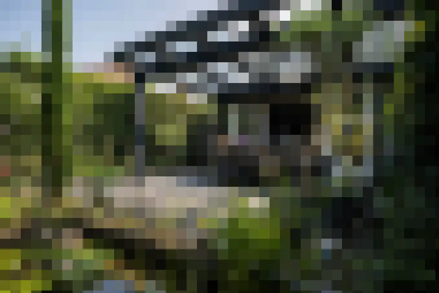 Het Eiland 30 Warnsveld thumbnail 57