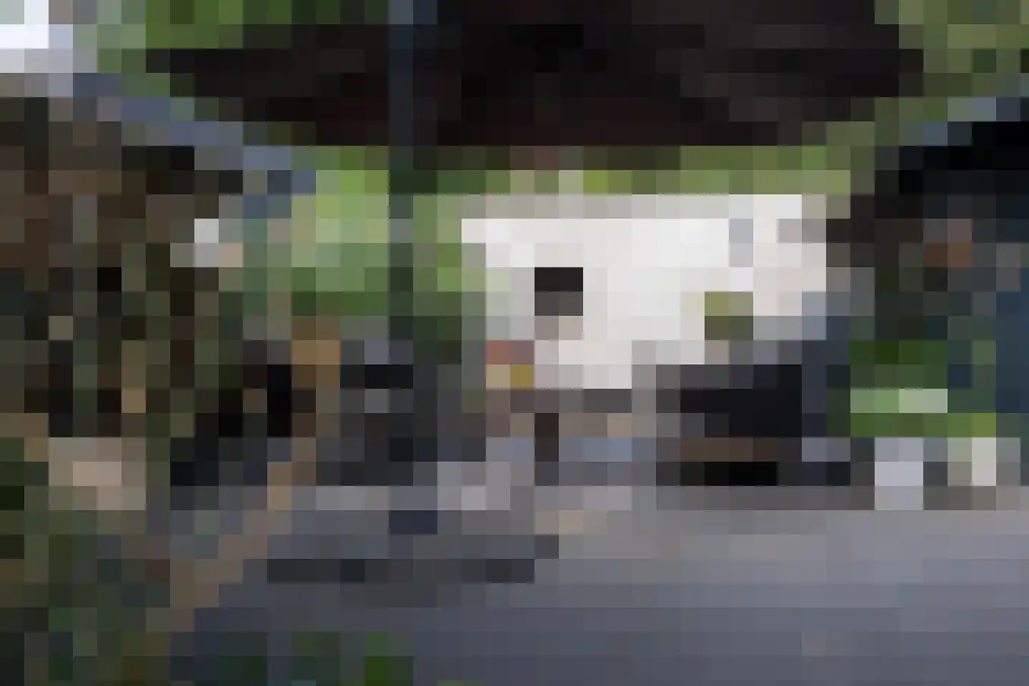 Het Eiland 30 Warnsveld thumbnail 58