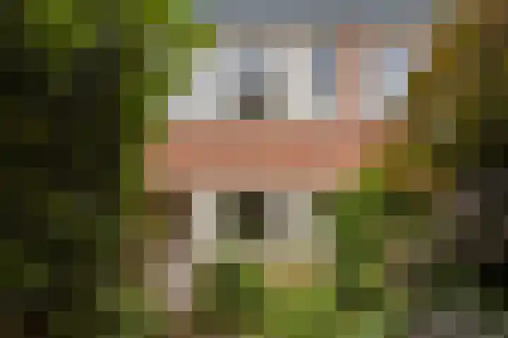 Het Eiland 44 Warnsveld