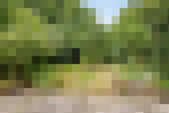 Het Eiland 44 Warnsveld thumbnail 36