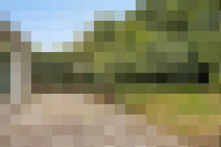 Het Eiland 44 Warnsveld thumbnail 37