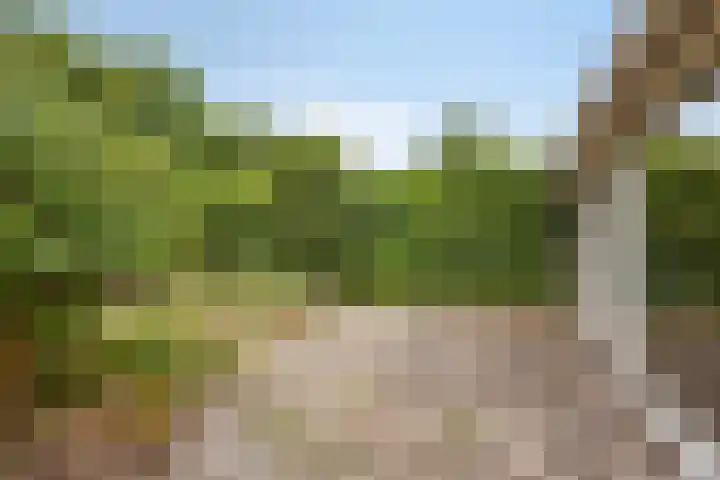 Het Eiland 44 Warnsveld thumbnail 38