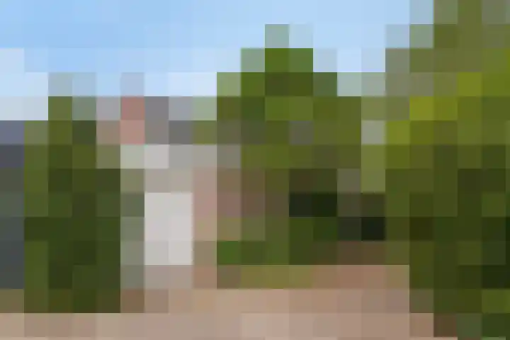 Het Eiland 44 Warnsveld thumbnail 4