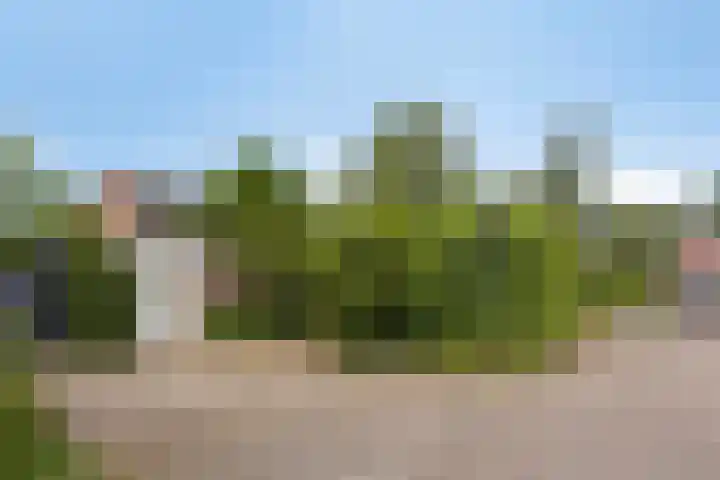 Het Eiland 44 Warnsveld thumbnail 5