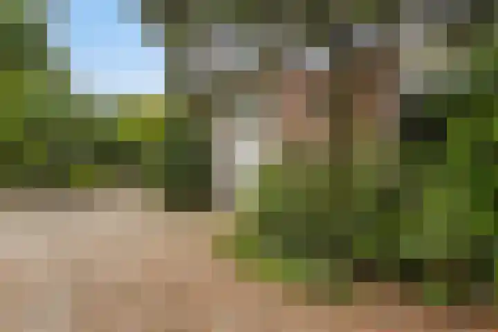 Het Eiland 44 Warnsveld thumbnail 6