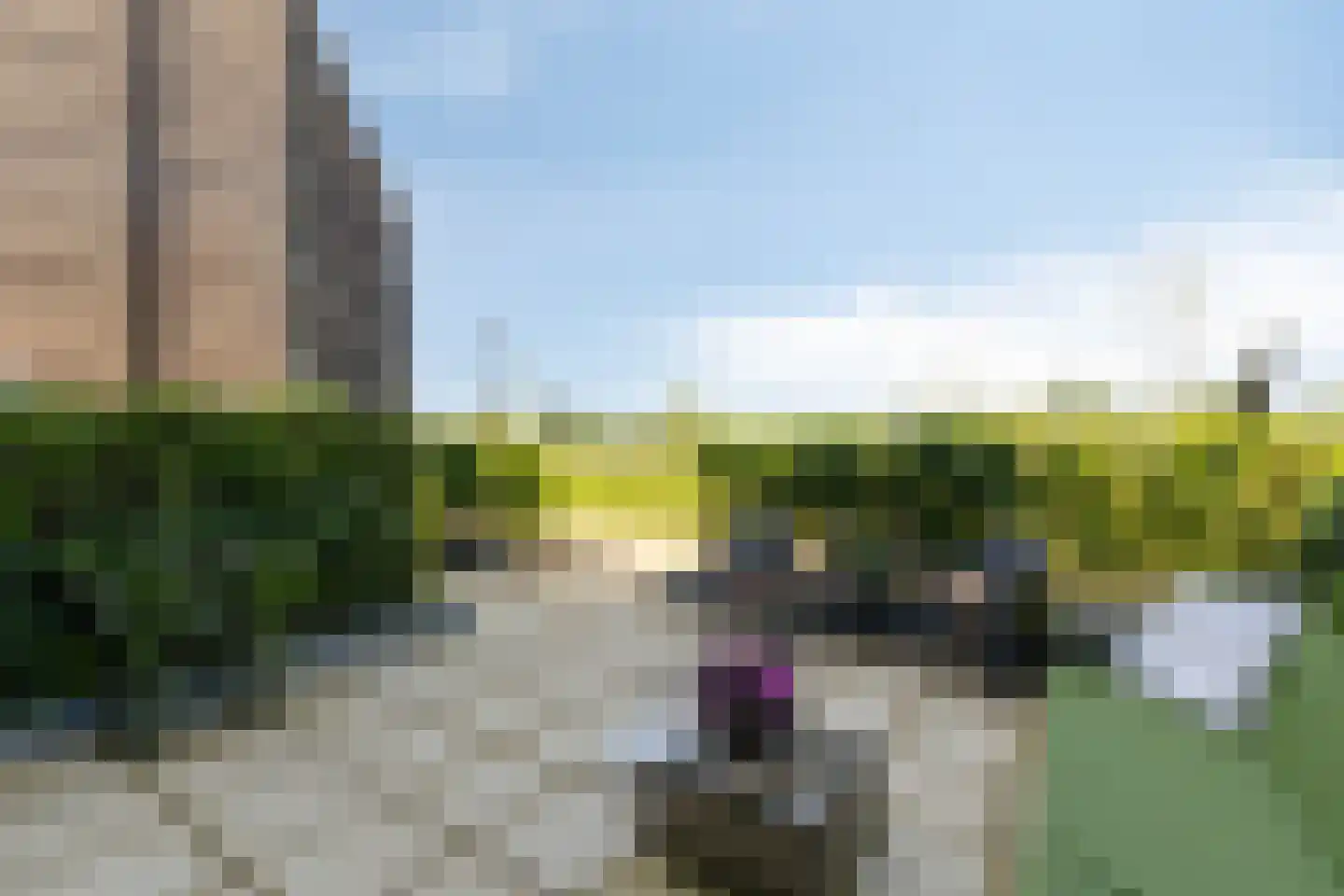 Het Eiland 61 Doetinchem thumbnail 12