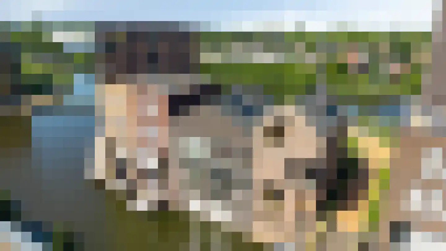Het Eiland 61 Doetinchem thumbnail 4