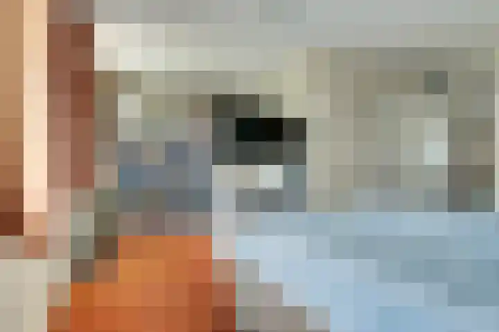 Het Eiland 72 Wervershoof thumbnail 15