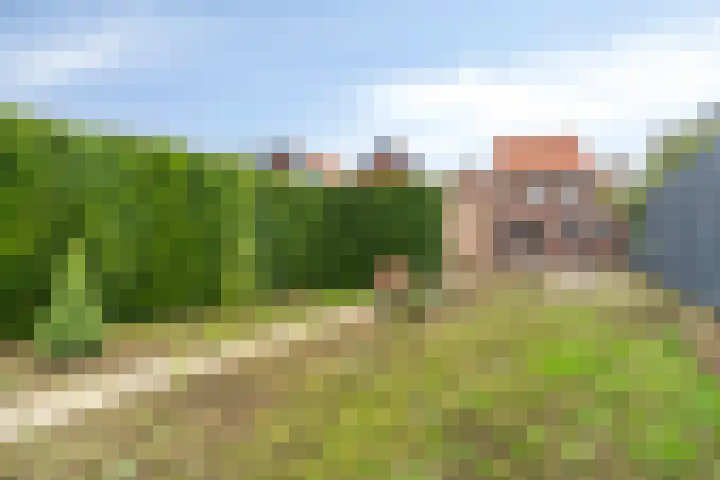 Het Einde 14 Elsloo foto 2