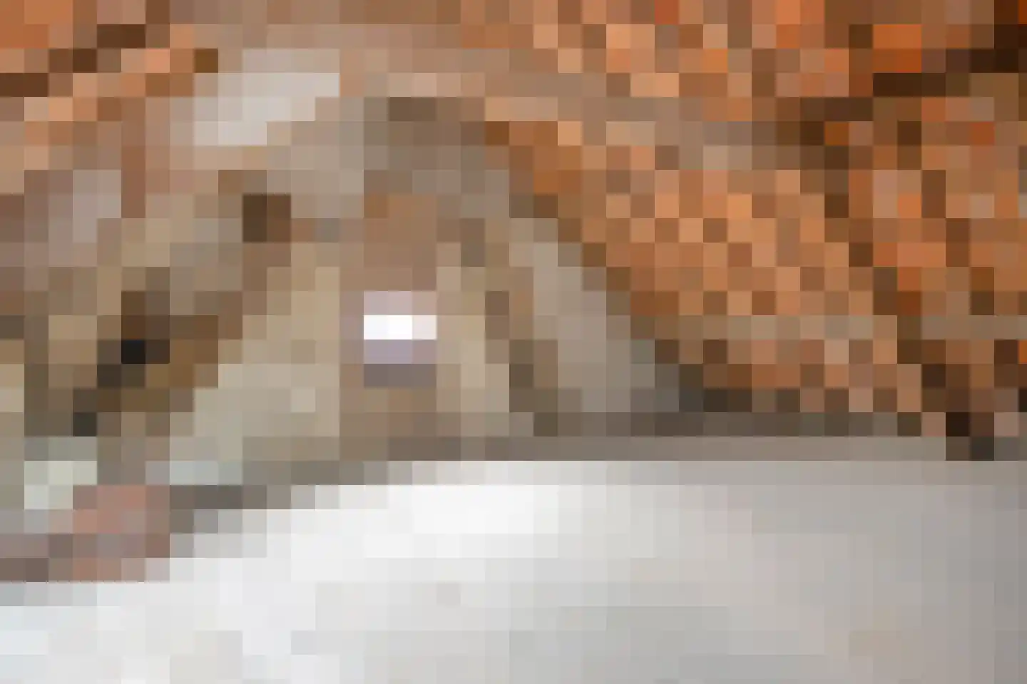 Het Einde 14 Elsloo thumbnail 27