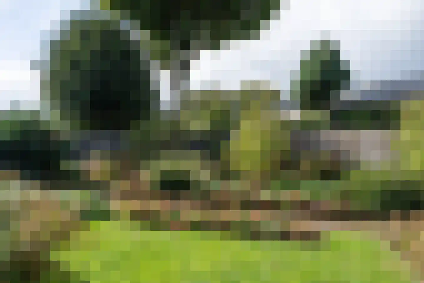 Het Einde 2 Elsloo thumbnail 31