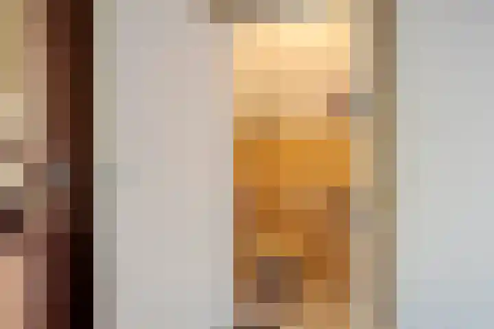 Het Elferink 7 Diepenheim thumbnail 11
