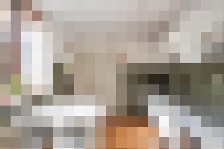 Het Elferink 7 Diepenheim thumbnail 23
