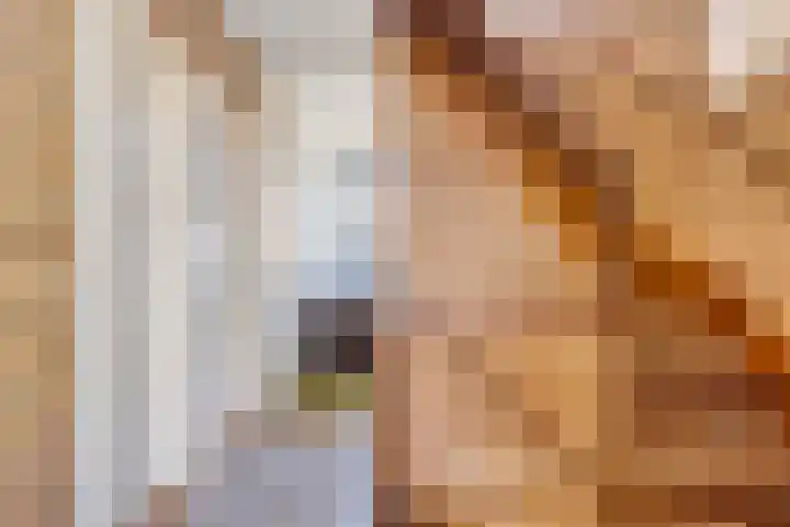 Het Elferink 7 Diepenheim thumbnail 25