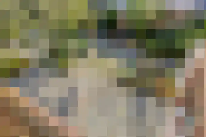 Het Elferink 7 Diepenheim thumbnail 32