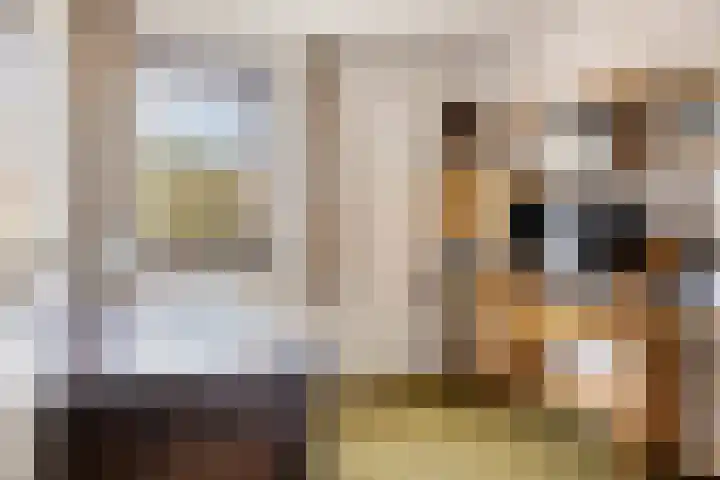 Het Elferink 7 Diepenheim thumbnail 33