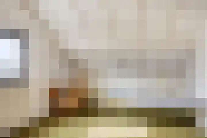 Het Elferink 7 Diepenheim thumbnail 38