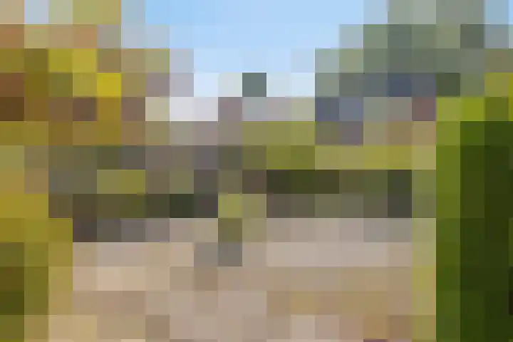 Het Elferink 7 Diepenheim thumbnail 42