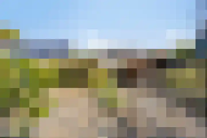 Het Elferink 7 Diepenheim thumbnail 43