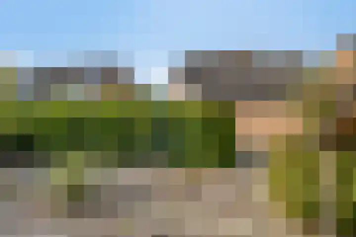 Het Elferink 7 Diepenheim thumbnail 44