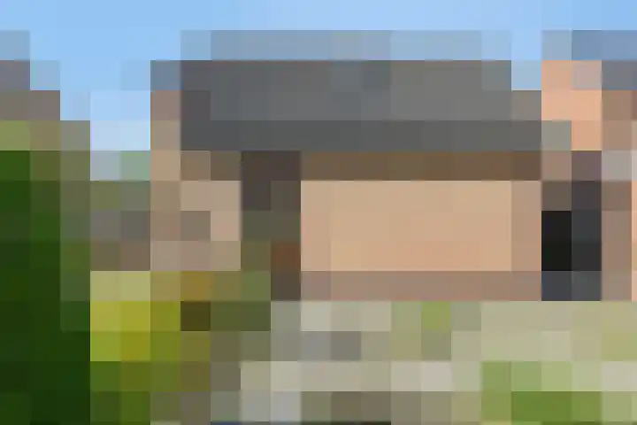 Het Elferink 7 Diepenheim thumbnail 45