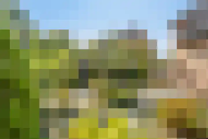 Het Elferink 7 Diepenheim thumbnail 46