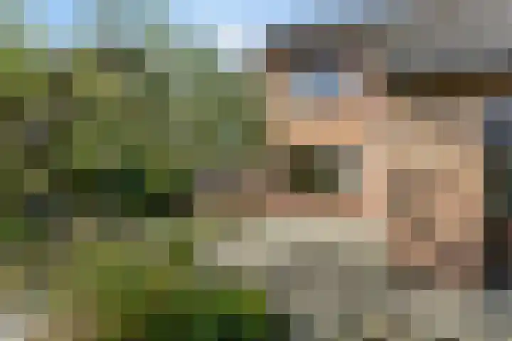 Het Elferink 7 Diepenheim thumbnail 47
