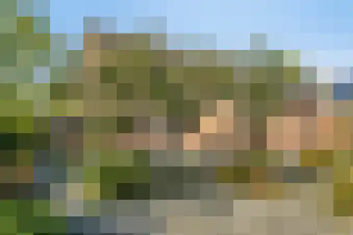 Het Elferink 7 Diepenheim thumbnail 48