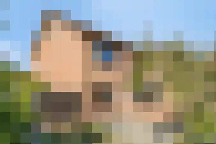Het Elferink 7 Diepenheim thumbnail 49