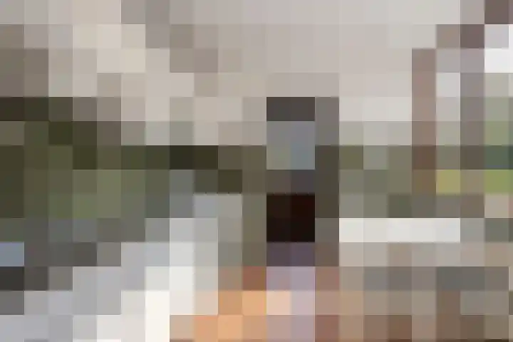 Het Elferink 7 Diepenheim thumbnail 5