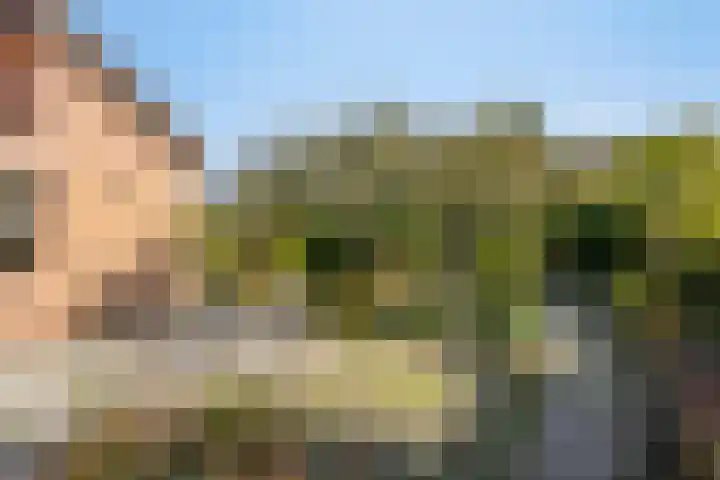 Het Elferink 7 Diepenheim thumbnail 51