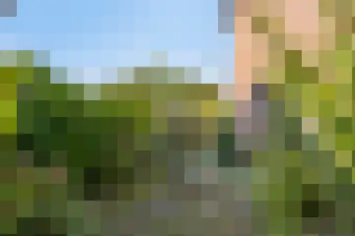 Het Elferink 7 Diepenheim thumbnail 52